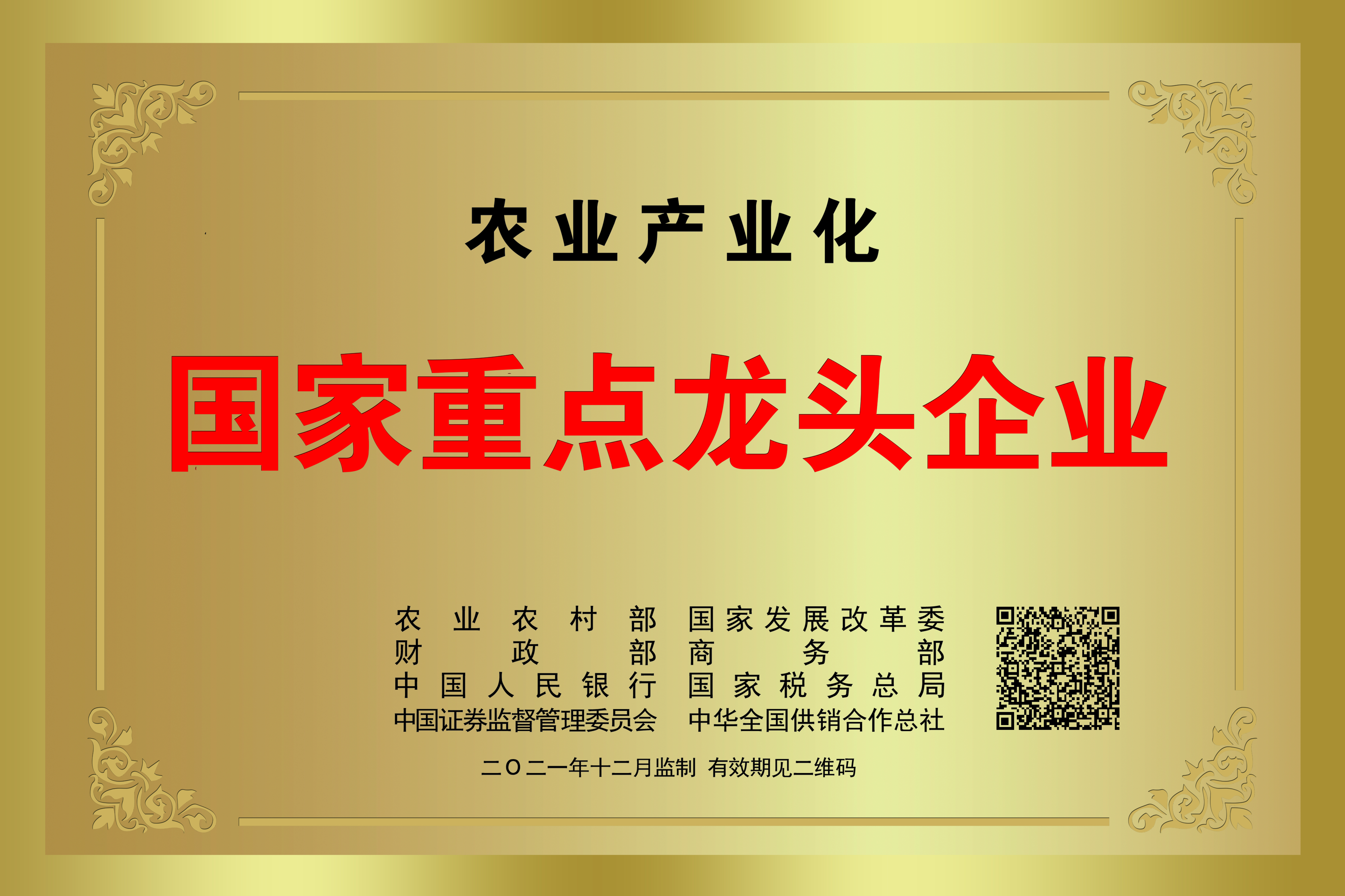 國(guó)家重點(diǎn)龍頭企業(yè)